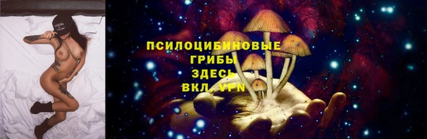 герыч Медногорск