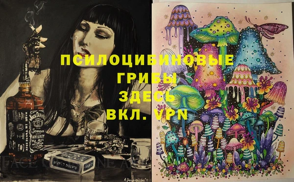 герыч Медногорск